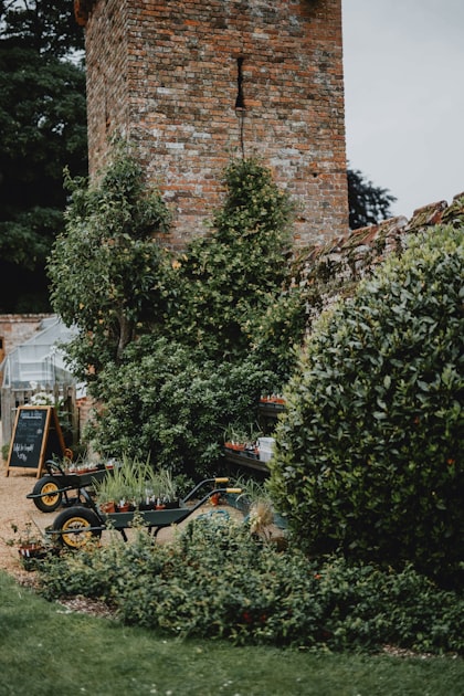 Maintaining Your Garden